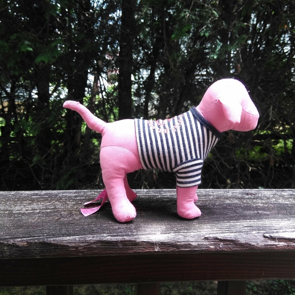 VS Pink Dog